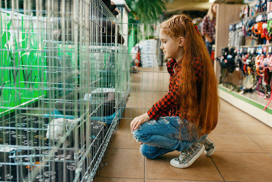 Tiendas de animales en Sevilla