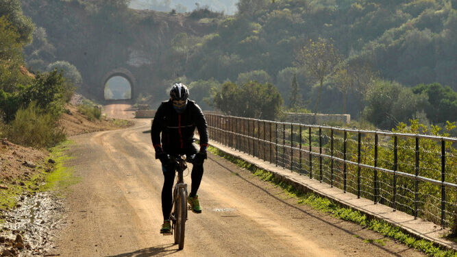 Bicycle routes in Seville