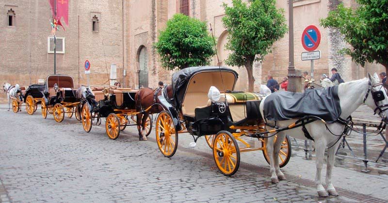 carriage horses in Seville