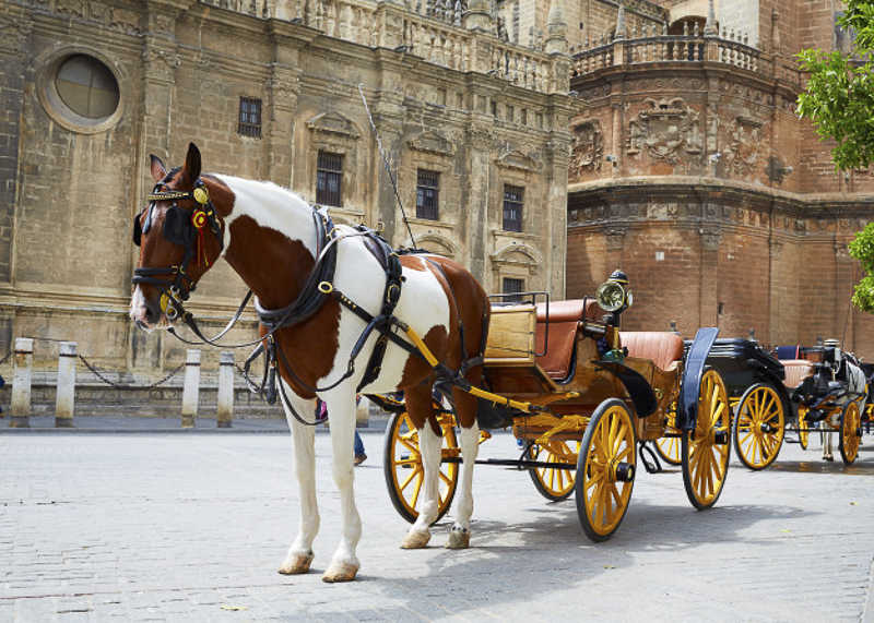 Horse-drawn carriage ride in Sevilla
