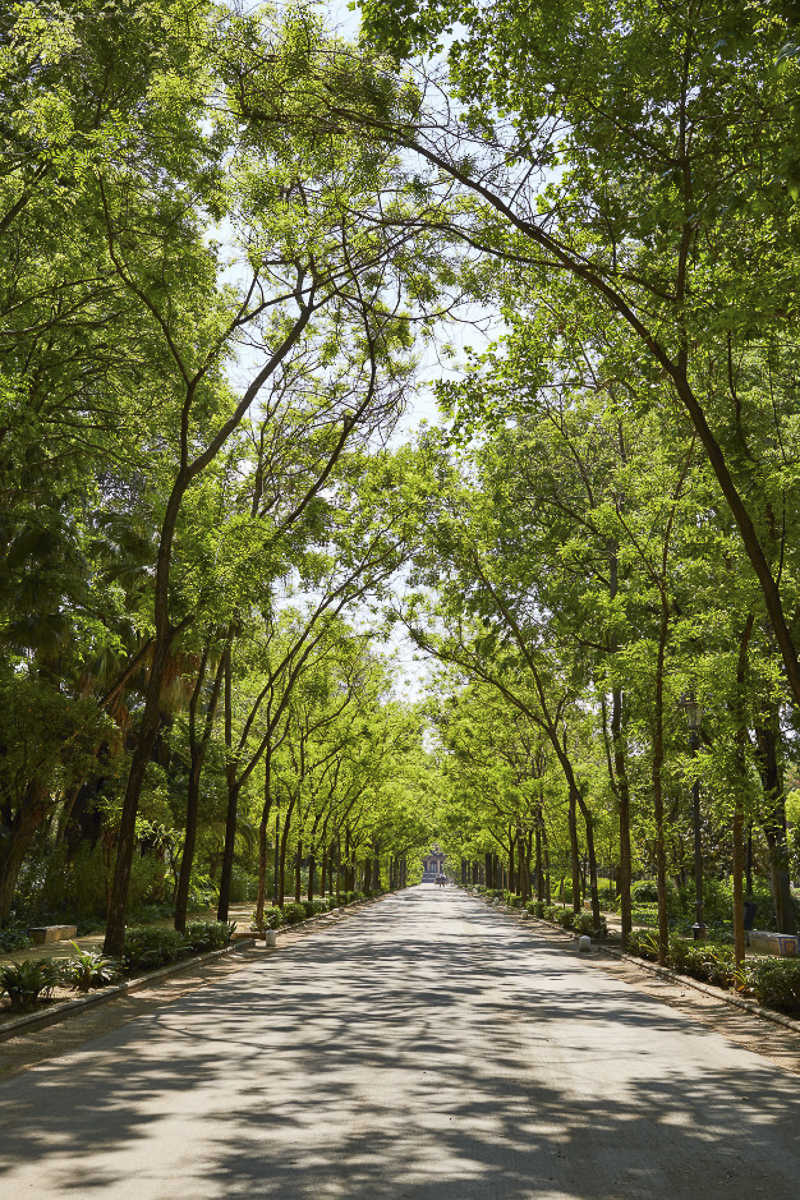 Maria Luisa Park Seville https://seville-city.com/