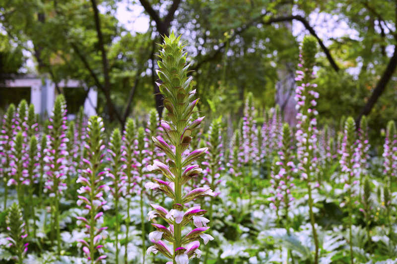 Maria Luisa Park Seville https://seville-city.com/