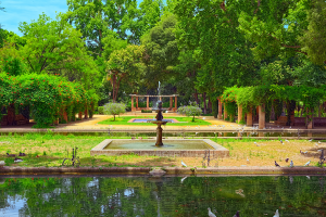 The Maria Luisa Park of Seville