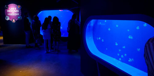Get to know the Seville Aquarium